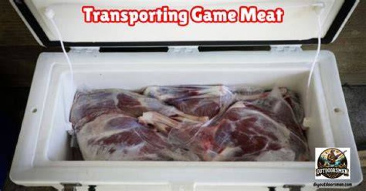 How do you transport meat properly?