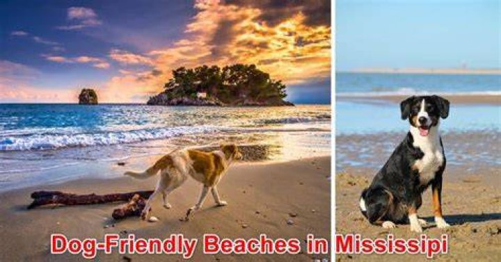 Is Mississippi friendly?