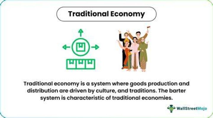 Is traditional economy good or bad?