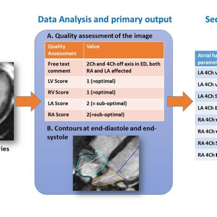 What are the image quality assessment parameters?