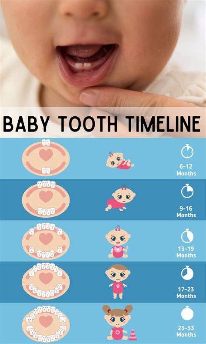 When first teeth come in for babies?