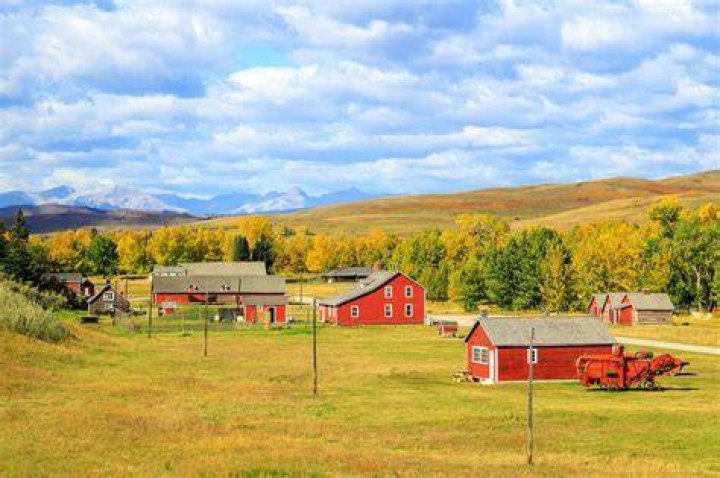 Where is Calgary country?